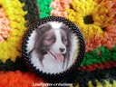 Broche border collie